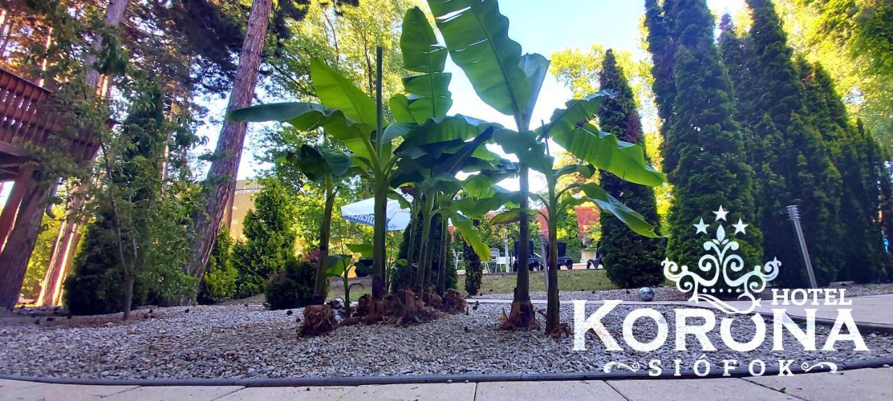 Hotel Korona ชิโอฟก ภายนอก รูปภาพ